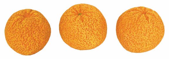 #1045 Small Fruit - Oranges  2