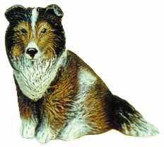 #1709 Small Dog - Shelty Or Collie  3 3-4