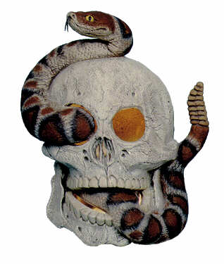 #2040 Skull & Snake (Large)  7 1-2