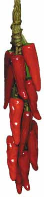 #2170 Chili Peppers (3 in mold) 3