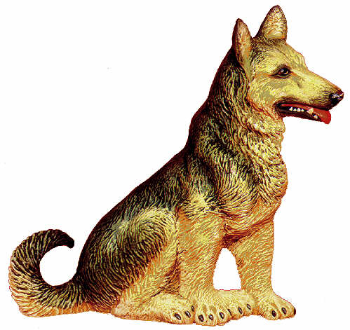 #2269 Large Dog - German Shepherd  6 3-4