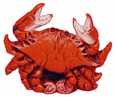 #2290 Sealife Ornament - Crab  3"