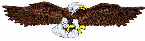 #2454 Eagle Ash Catcher  16