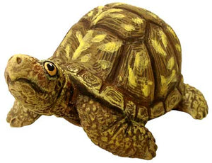 #3257 Box Turtle (Small), Head Up  3 1-2"