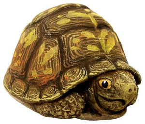 #3259 Box Turtle (Small), Peeking Out  2 3-4"