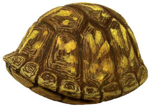 #3260 Box Turtle (Small), Closed Up  2 1-2"