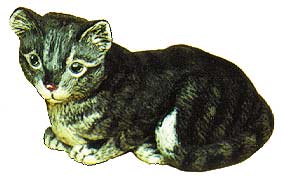 #1707 Small Cat - Shorthair  3 1-2"