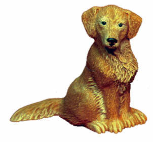 #1733 Small Dog - Golden Retriever  4