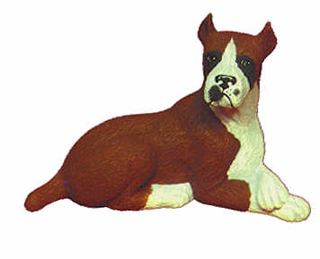 #1735 Small Dog - Boxer  4 1-2