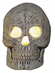 #1749 Skull - Small  4 1-4"