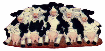 #1880 Row of Cows  9