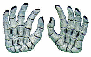 #2059 Skeleton Hands (2 in mold)  4