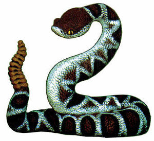#2171 Rattlesnake  6"