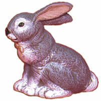 #2231 Bunny Series - Realistic Sitting Rabbit  3"