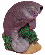 #2288 Sealife Ornament - Manatee  2 1-2"