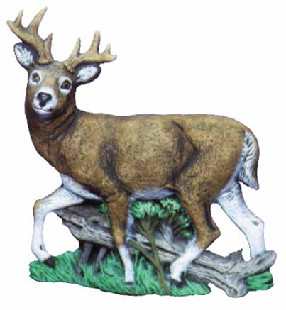 #2293 White Tail Deer  6 3-4