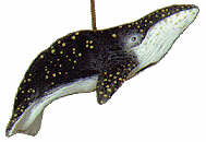 #2326 Sealife Ornament - Humpback Whale  3 1-4"