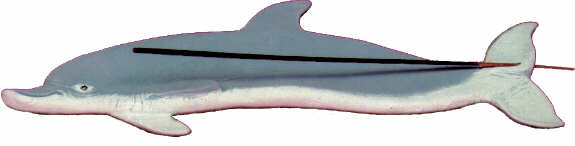 #2352 Dolphin Ashcatcher  12 1-2