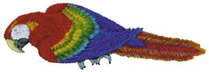 #2498 Macaw Parrot  16"