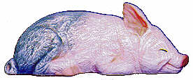 #2542 Pig Laying-Sleeping  4"