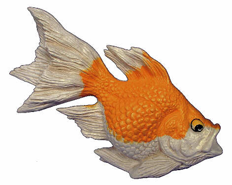 2803 Goldfish Head Down  7