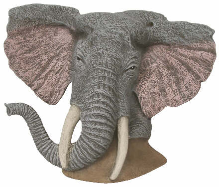 #2962 Elephant Bust  7