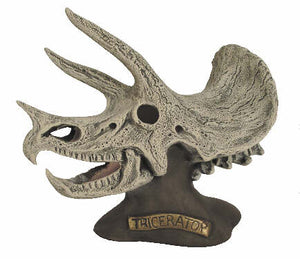 #2969 Triceratops Skull Bust - 6 1-4"