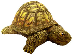 #3258 Box Turtle (Small), Head Out  3 3-4"
