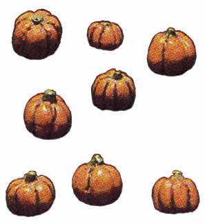 #940 Eight Small Pumpkins  Approximately 1-2